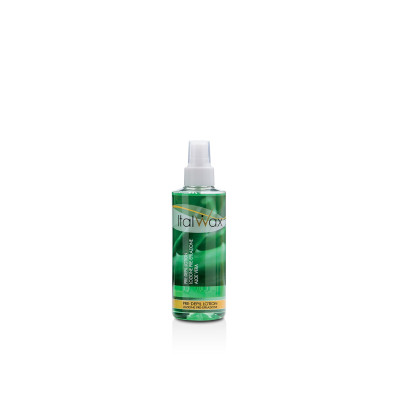 Loção Aloe Vera Pré Epilação 500ml Italwax