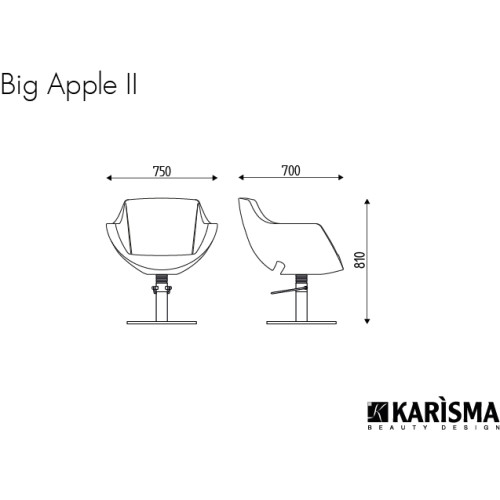 Cadeira Cabeleireiro Big Apple Karisma Cadeira Cabeleireiro Big Apple Karisma