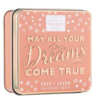 SABONETE EM CAIXA 100GR