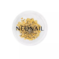 Flores Secas 07 Amarelo NEONAIL