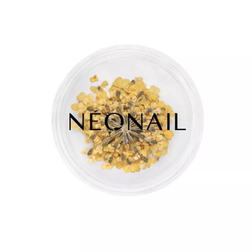 Flores Secas 07 Amarelo NEONAIL Flores Secas 07 Amarelo NEONAIL