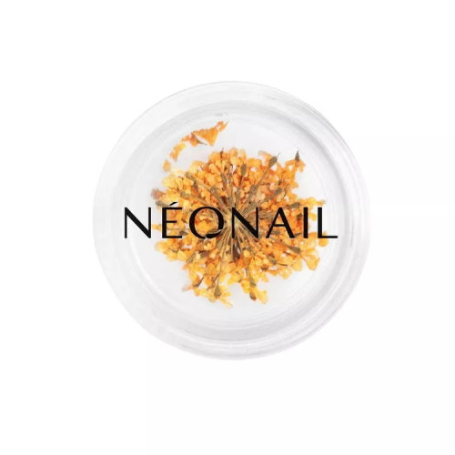 Flores Secas 03 Laranja NEONAIL Flores Secas 03 Laranja NEONAIL