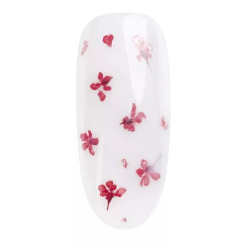 Flores Secas 08 Vermelho NEONAIL Flores Secas 08 Vermelho NEONAIL