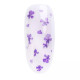 Flores Secas 06 Violeta NEONAIL Flores Secas 06 Violeta NEONAIL