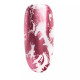 Transfer Foil 24 Candy NEONAIL Transfer Foil 24 Candy NEONAIL