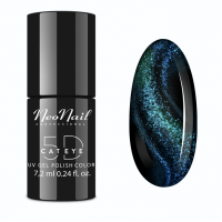 VERNIZ GEL BIRMAN CAT EYE 5D