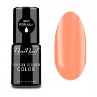 VERNIZ GEL RAMLA BAY 6ML