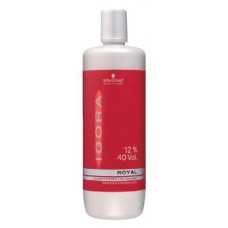 REVELADOR 1000ML